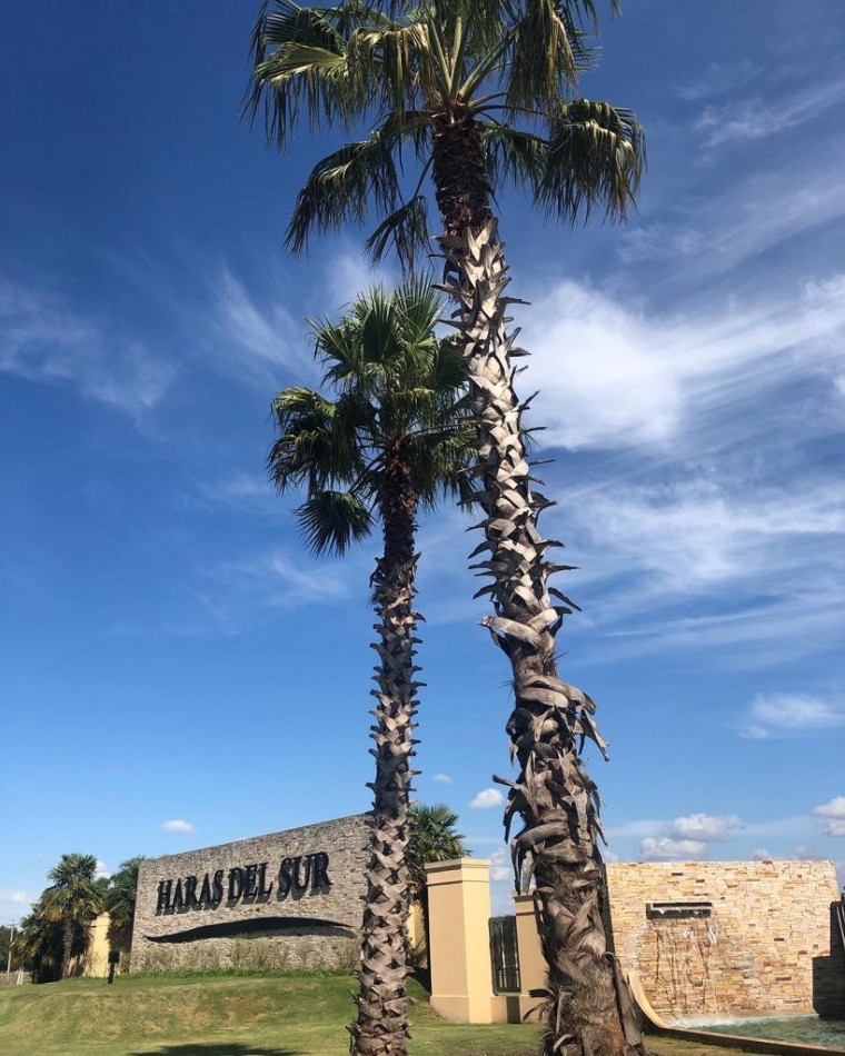LOTE EN HARAS DEL SUR III - CENTRAL