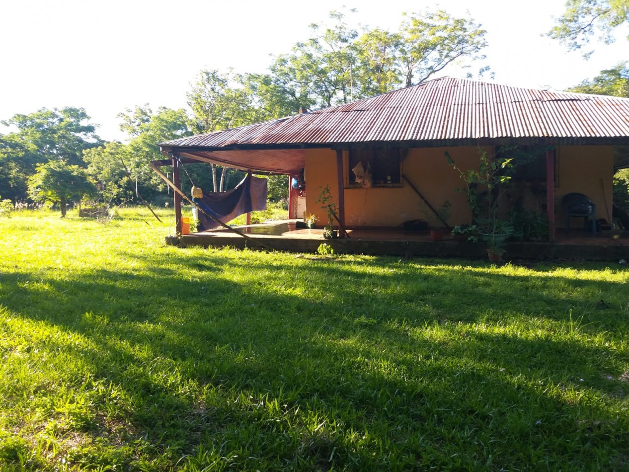VN - Chacra en venta en San Ignacio de 4 Hectareas y 45 centiares