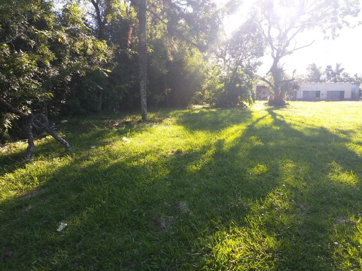 VN - Chacra en venta en San Ignacio de 4 Hectareas y 45 centiares