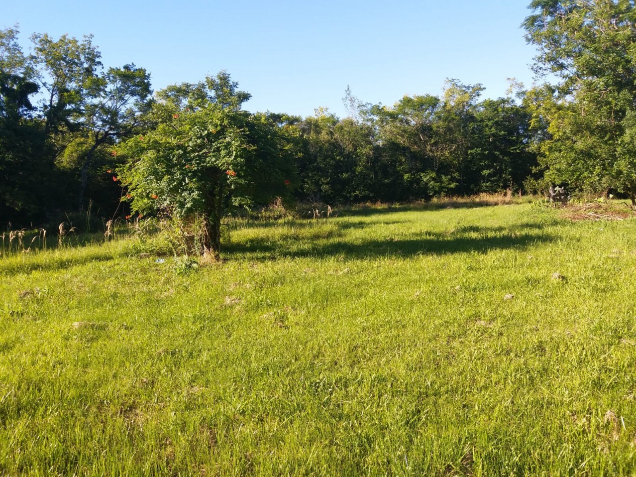 VN - Chacra en venta en San Ignacio de 4 Hectareas y 45 centiares