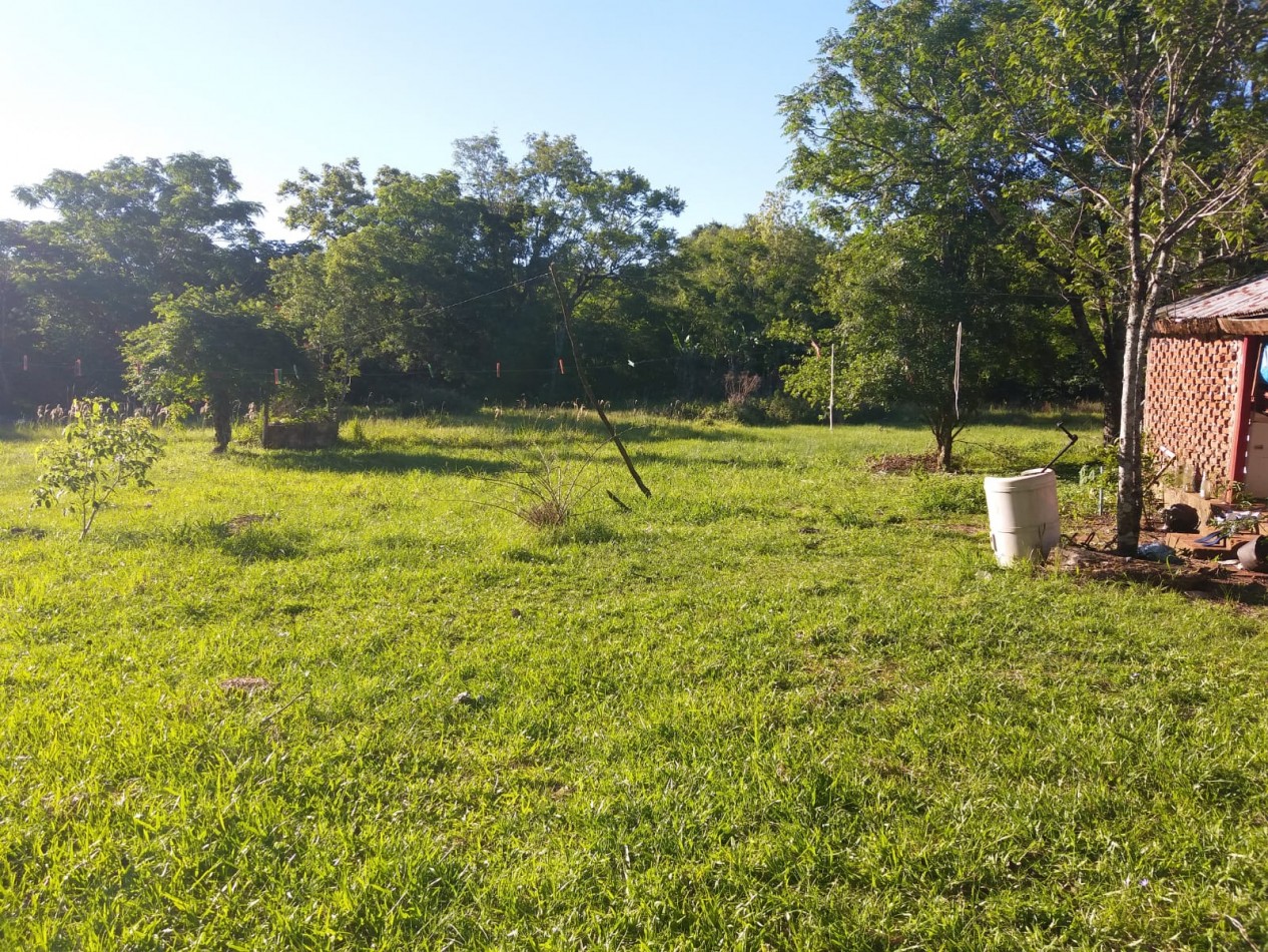 VN - Chacra en venta en San Ignacio de 4 Hectareas y 45 centiares