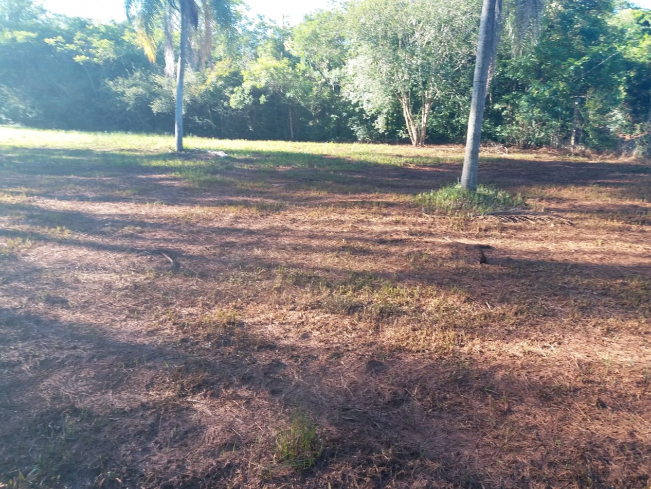 VN - Chacra en venta en San Ignacio de 4 Hectareas y 45 centiares