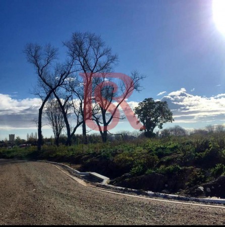 Lote Central San Juan Chico 