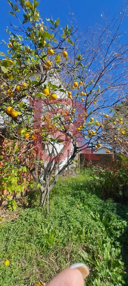 GZ - PH tres ambientes con amplio fondo a Reciclar