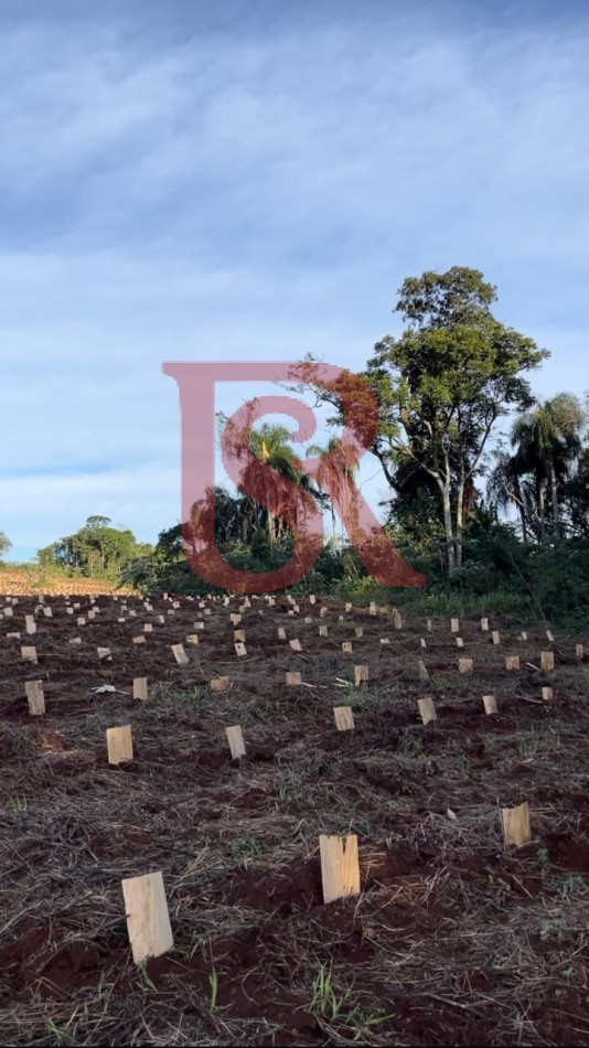 LP - OPORTUNIDAD CHACRA YERBATERA, Misiones
