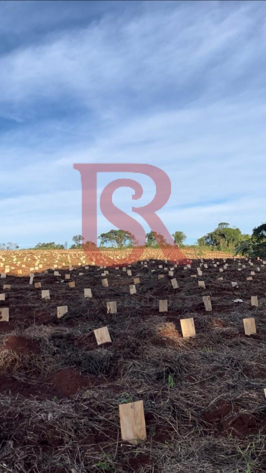 LP - OPORTUNIDAD CHACRA YERBATERA, Misiones