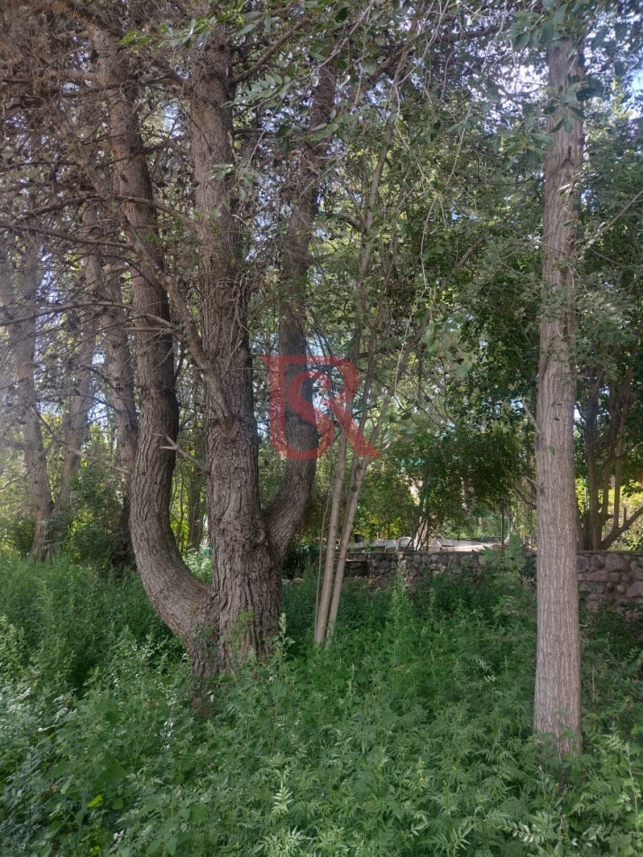 MS - Hermosa Cabaña en Venta en Potrero de los Funes! Disfruta la naturaleza y la tranquilidad en esta encantadora cabaña de dos plantas, ideal para vivienda permanente o casa de descanso.