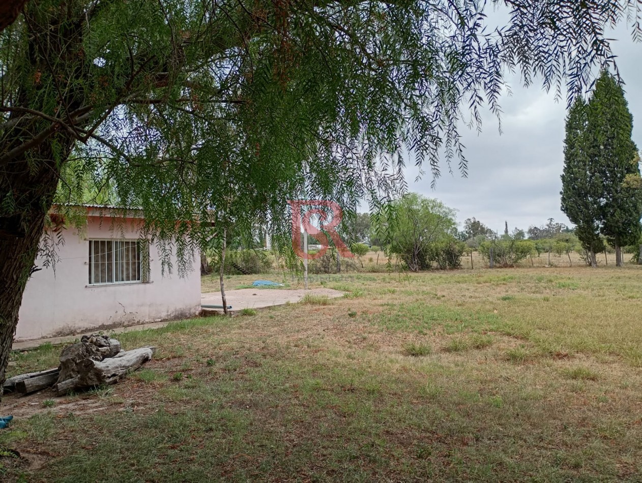 MS Campo de 10 Ha con vivienda de tres ambientes