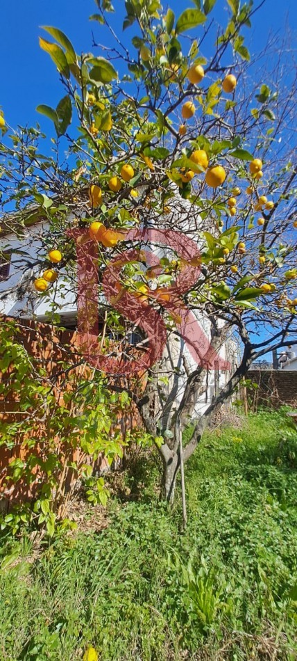 GZ - PH tres ambientes con amplio fondo a Reciclar