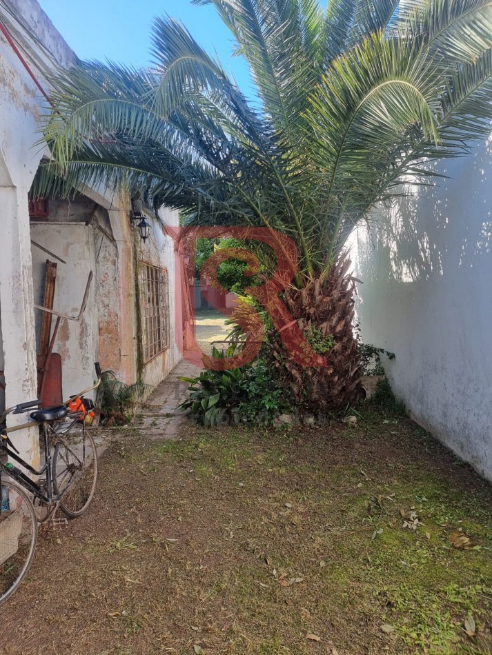 GZ - Hermos lote o Casa a Demoler en Bernal Centro