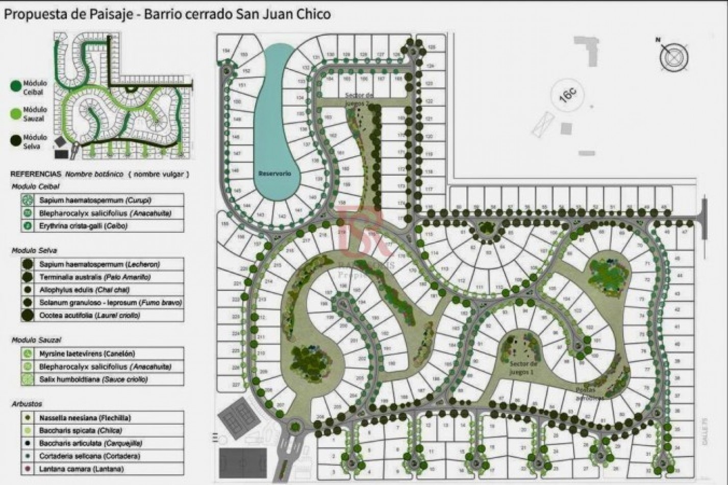 NUEVO INGRESO - Lotes San Juan Chico - Centrales-