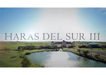 LOTE EN HARAS DEL SUR III - CENTRAL