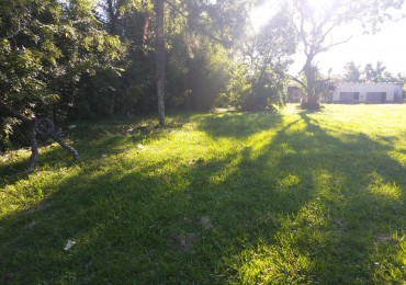 VN - Chacra en venta en San Ignacio de 4 Hectareas y 45 centiares