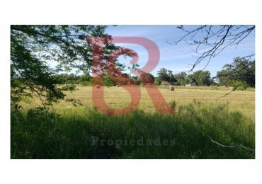 ES- Lotes en Venta