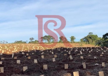 LP - OPORTUNIDAD CHACRA YERBATERA, Misiones