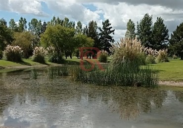 TERRENOS CON 1000M2 CON LAGUNA EN POSADA DE LOS ALGOS